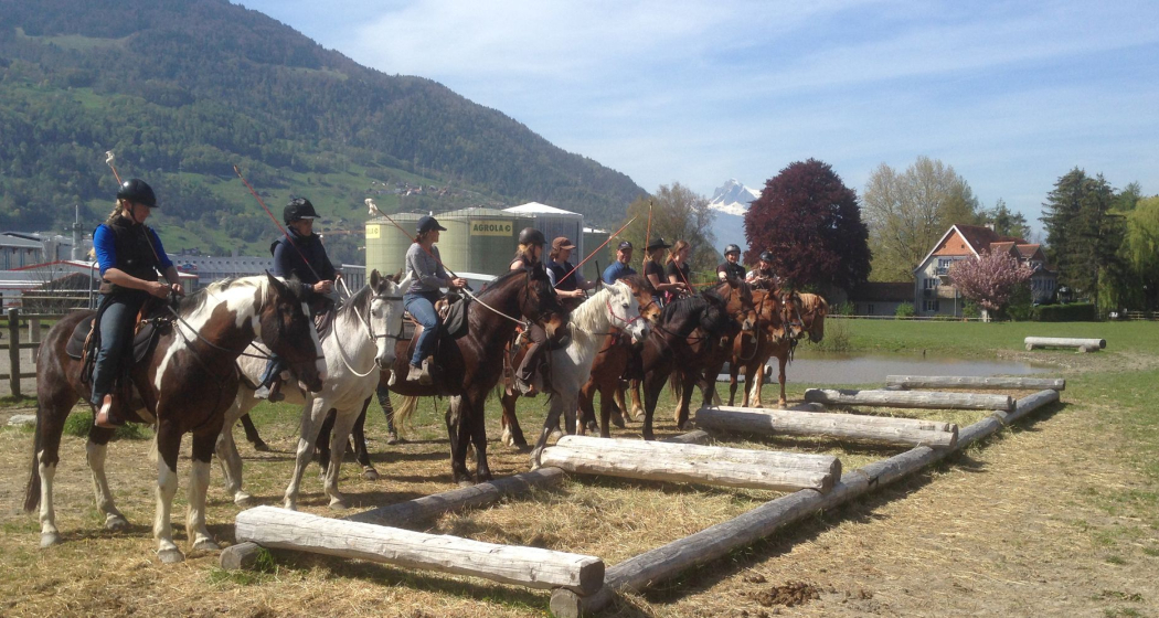 HETS die Schule für Natural Horsemanship (oua_620280742_image) HETS die Schule für Natural Horsemanship (oua_620280742_image)