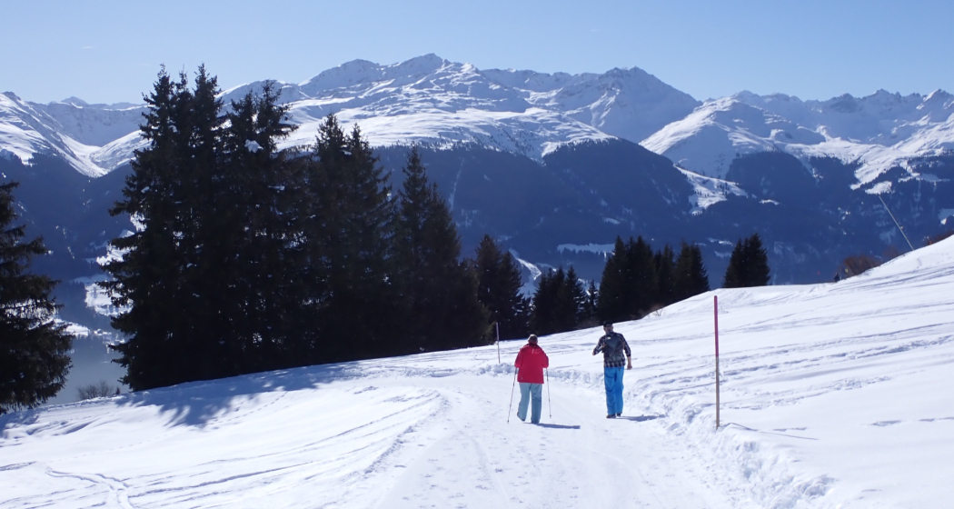 Winterwandern: Alp Dado - Waltensburg (oua_620450279_image)