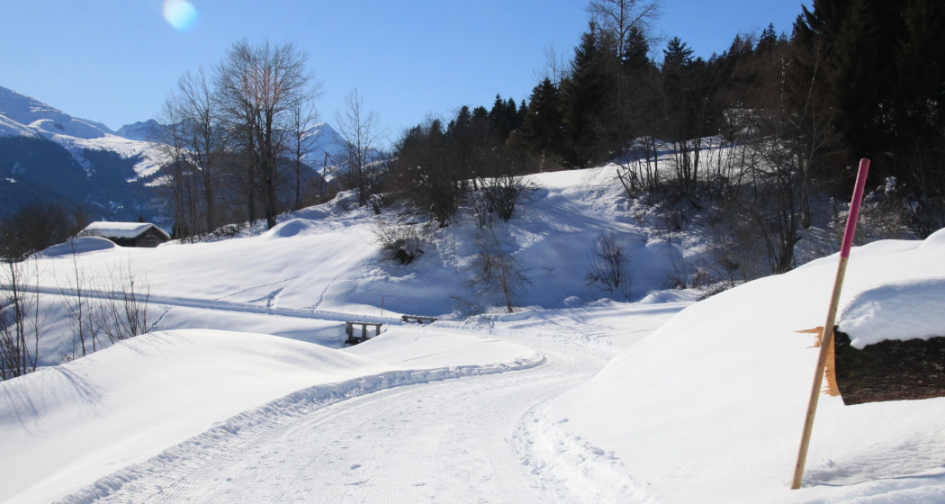 Winterwandern: Alp Dado - Waltensburg (oua_620450280_image)