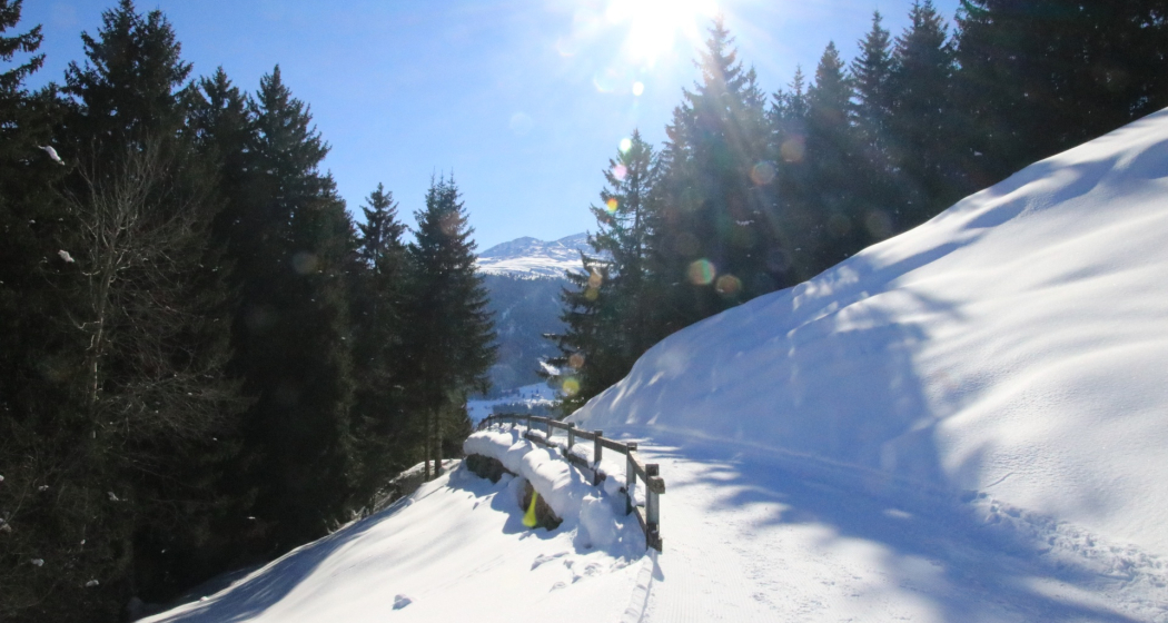 Winterwandern: Alp Dado - Waltensburg (oua_620450281_image)