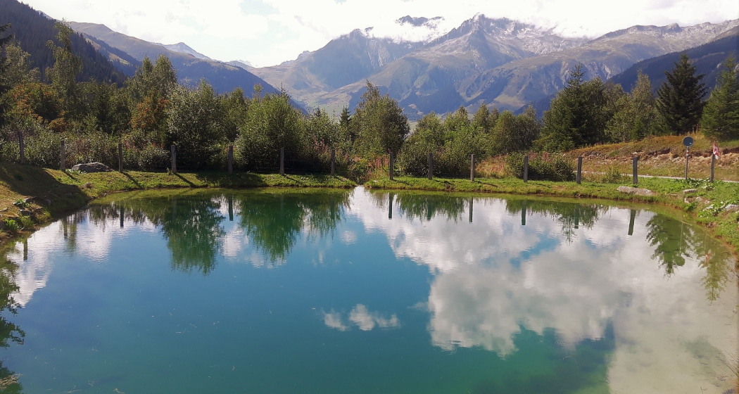 Weiher auf Stagias Weiher auf Stagias