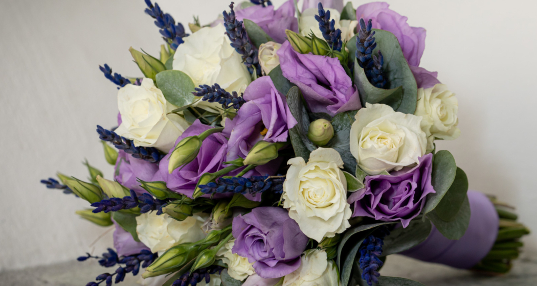 Calamandrin (oua_621038235_image)