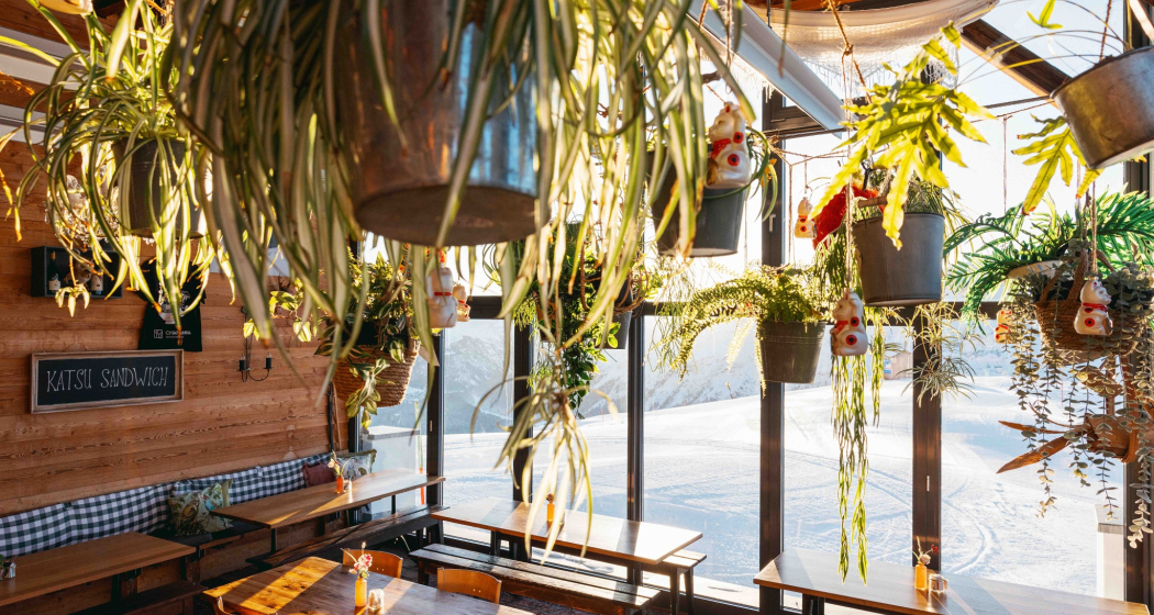 Chamanna (oua_621835536_image)