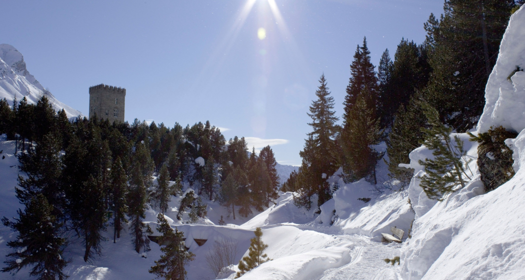 Turm Belvedere (oua_621867040_image)