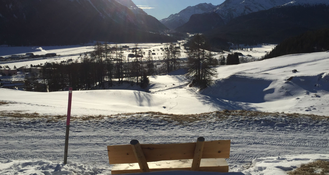 Sitzbänke Cristolais - Aussicht Samedan (oua_621867046_image)