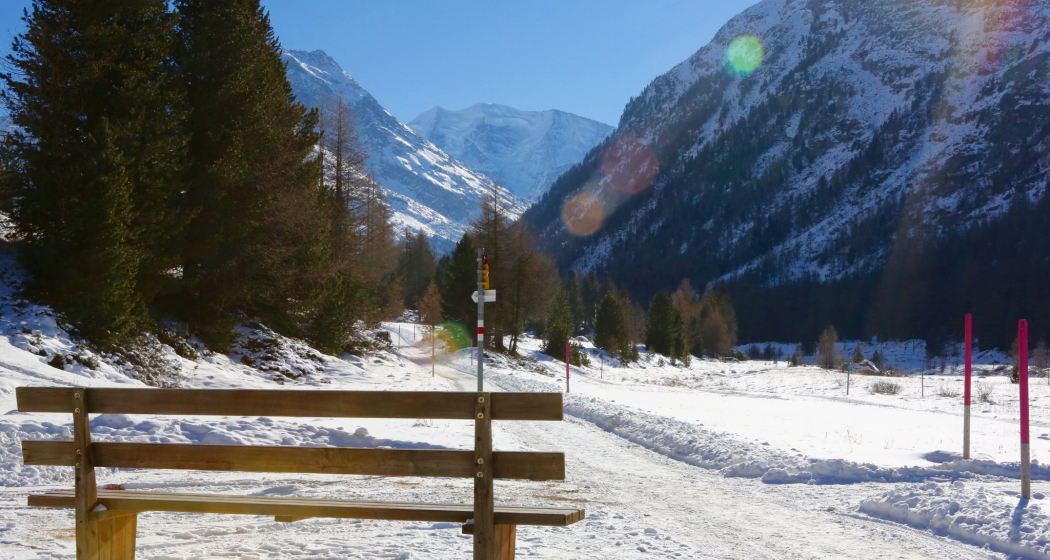 Sitzbank Runtunas (oua_621867115_image)