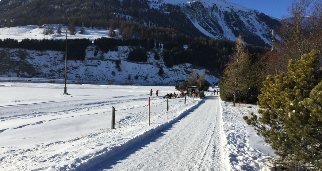Sitzbänke Champagnola (oua_621867119_image)