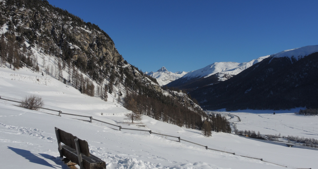 Sitzbank Bannchs (oua_621867121_image)