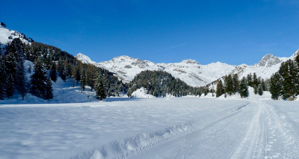 Lägh da Cavloc (oua_621867181_image)