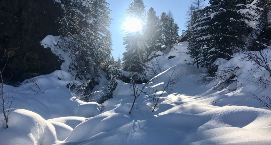 Lägh da Bitabergh (oua_621867185_image)