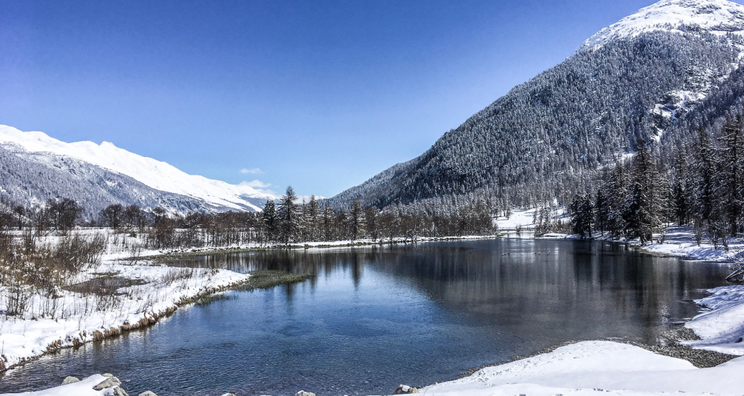 Lej Gravatscha (oua_621867197_image)