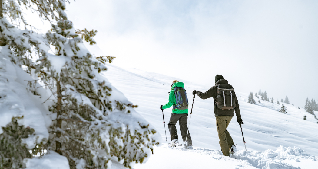Brambrüesch–Pradaschier Trail (oua_622007881_image)