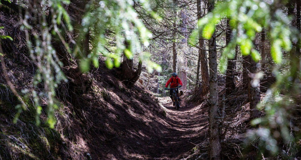 Melody Trail Melody Trail