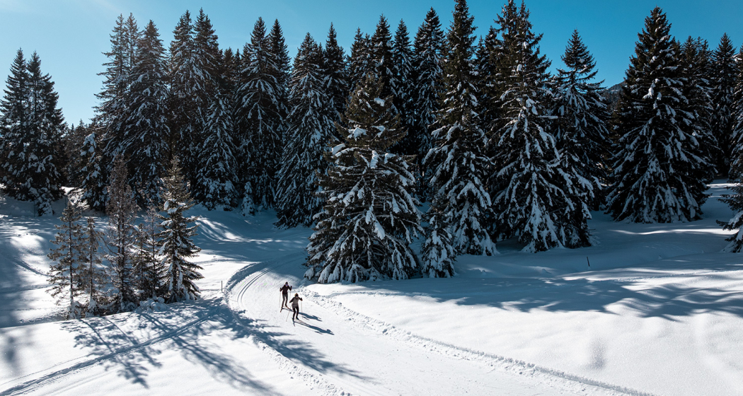 255 Bual Loipe (oua_622361636_image)