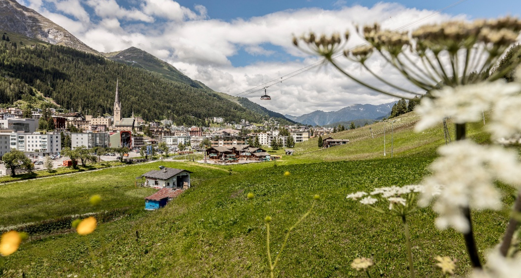 Kurzwanderung in Davos - Clavadel von der Schatzalpbahn (Talstation) nach Clavadel über Davos Platz (oua_62308018_image) Kurzwanderung in Davos - Clavadel von der Schatzalpbahn (Talstation) nach Clavadel über Davos Platz (oua_62308018_image)