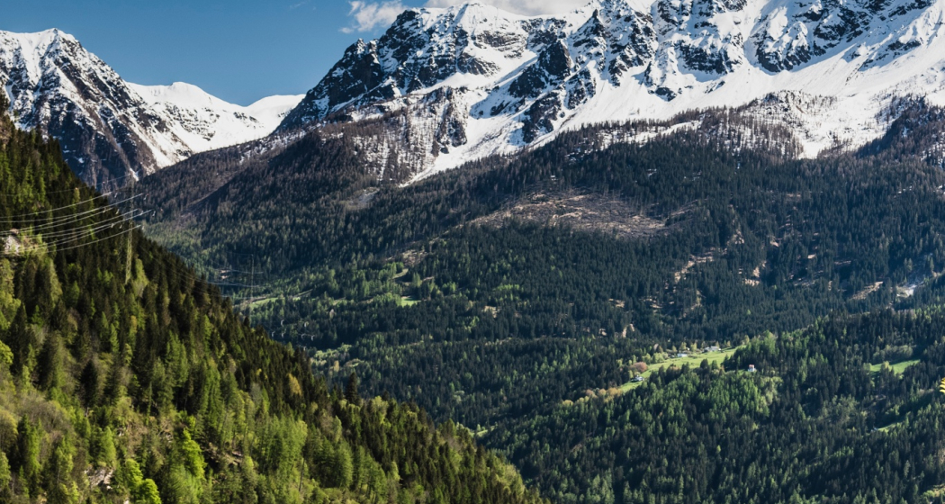 Ciack si gira - Special Ciack si gira - Special