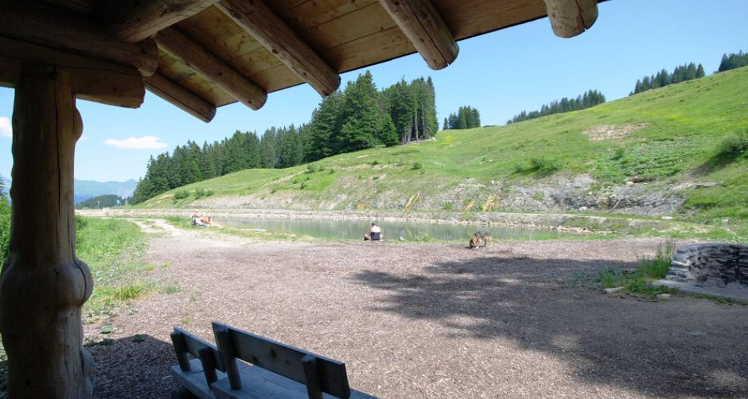 Grillstelle beim Speichersee Grillstelle beim Speichersee