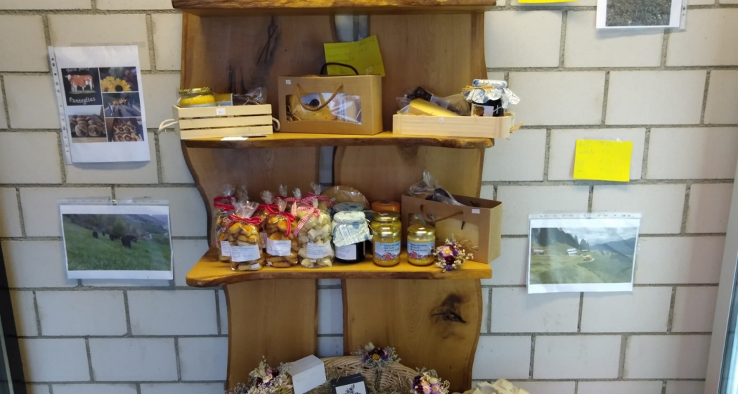 Stizunetta Punteglias (oua_62479648_image)