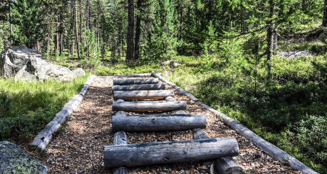 Vita Parcours Celerina (oua_62765842_image) Vita Parcours Celerina (oua_62765842_image)