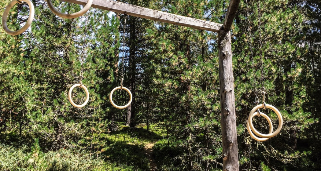 Vita Parcours Celerina (oua_62765843_image) Vita Parcours Celerina (oua_62765843_image)