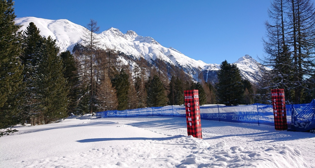Stazerwald Stazerwald