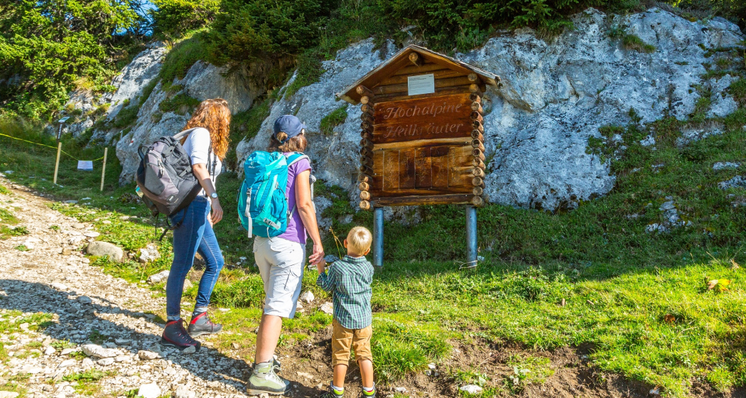 Heilkräuterweg Madrisa (oua_62944041_image) Heilkräuterweg Madrisa (oua_62944041_image)
