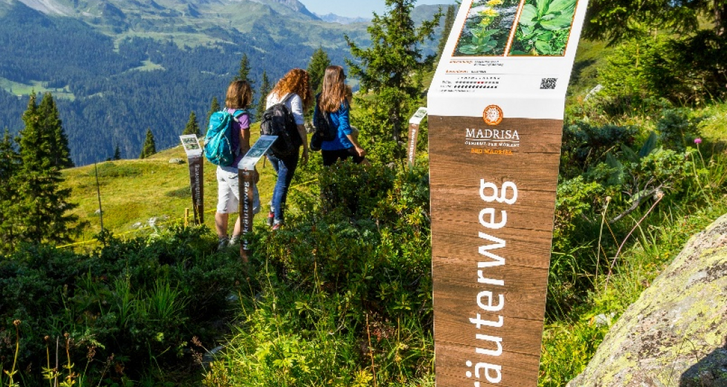 Heilkräuterweg Madrisa (oua_62944047_image) Heilkräuterweg Madrisa (oua_62944047_image)