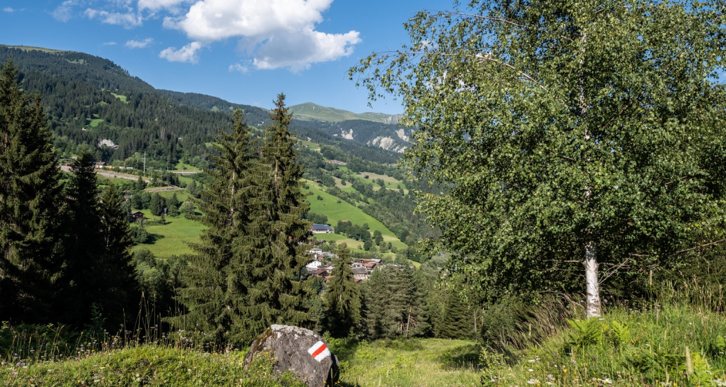 Molinis_Schanfigger Dörferweg Molinis_Schanfigger Dörferweg