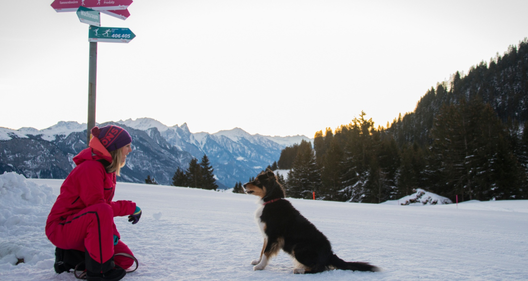Winterwandern mit Hund Winterwandern mit Hund