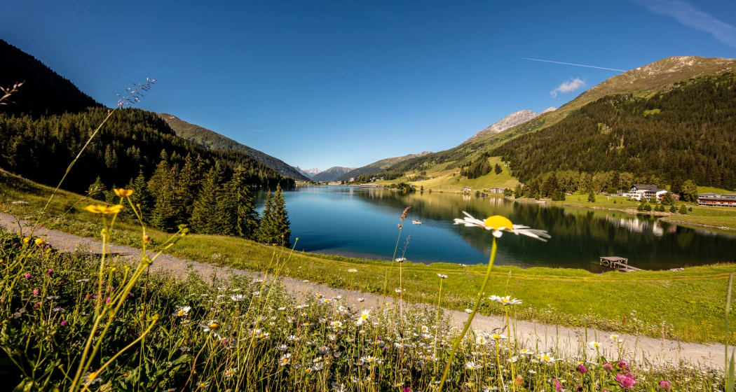 Davosersee (oua_63826924_image) Davosersee (oua_63826924_image)