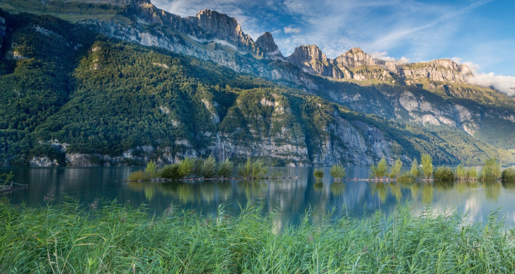 Walensee & Umgebung (oua_64364597_image)