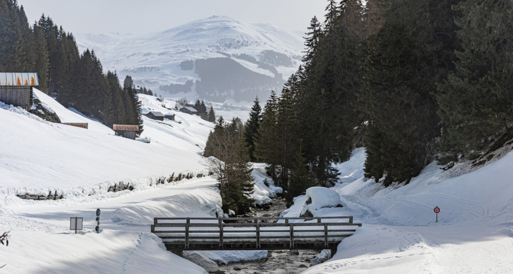 Winterwandern: Brigels - Rumasal (oua_64365396_image)