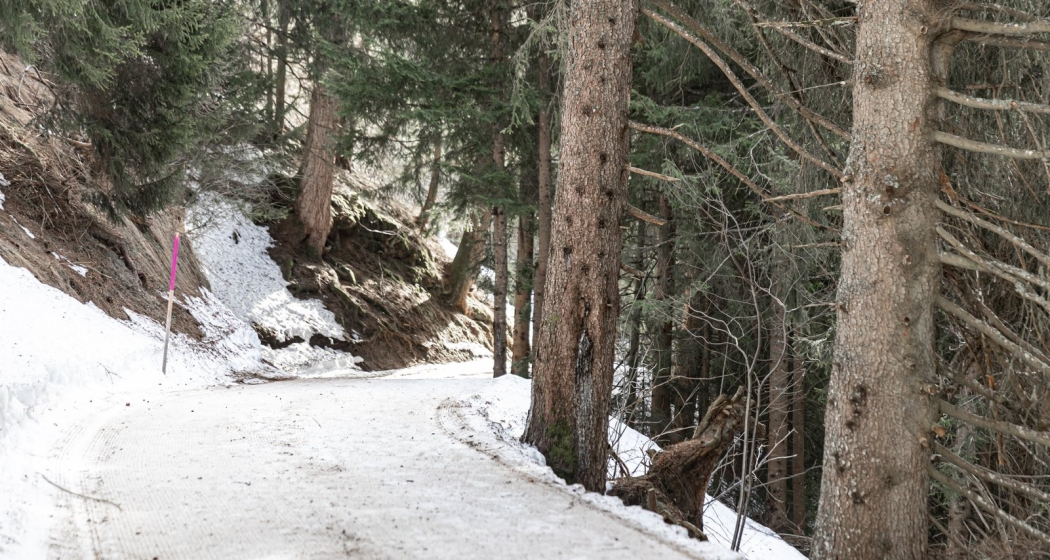 Winterwandern: Brigels - Naul (oua_64365462_image)