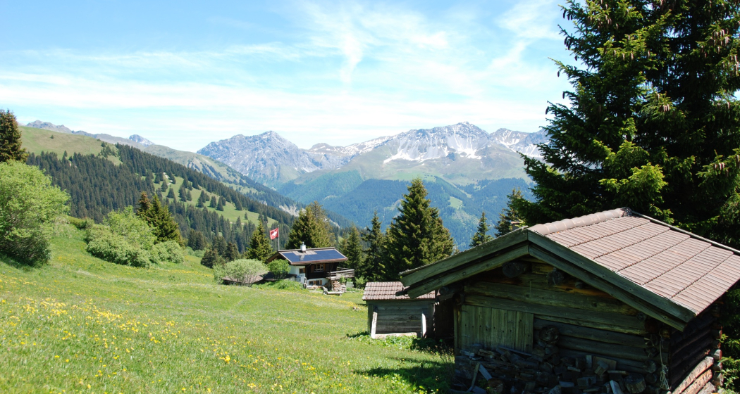 Fatschél - Mattjisch Horn - Langwies Fatschél - Mattjisch Horn - Langwies
