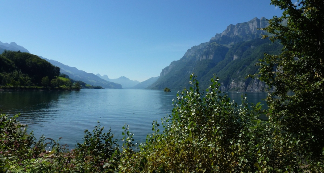 Fischen am Walensee Fischen am Walensee