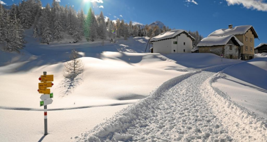 Maloja Cresta, Engadin, Graubünden, Schweiz Maloja Cresta, Engadin, Graubünden, Schweiz