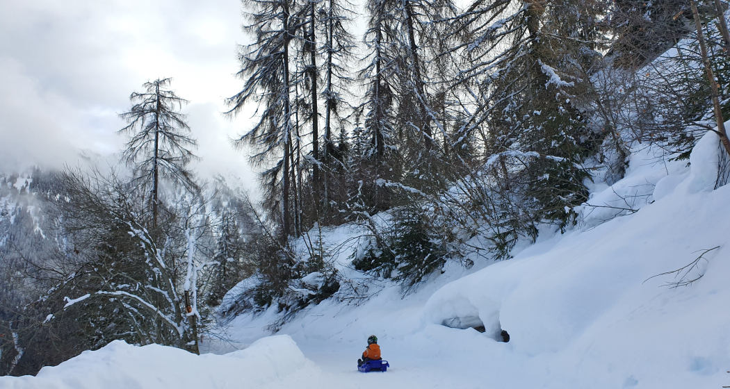Schlittelweg Tenna Schlittelweg Tenna