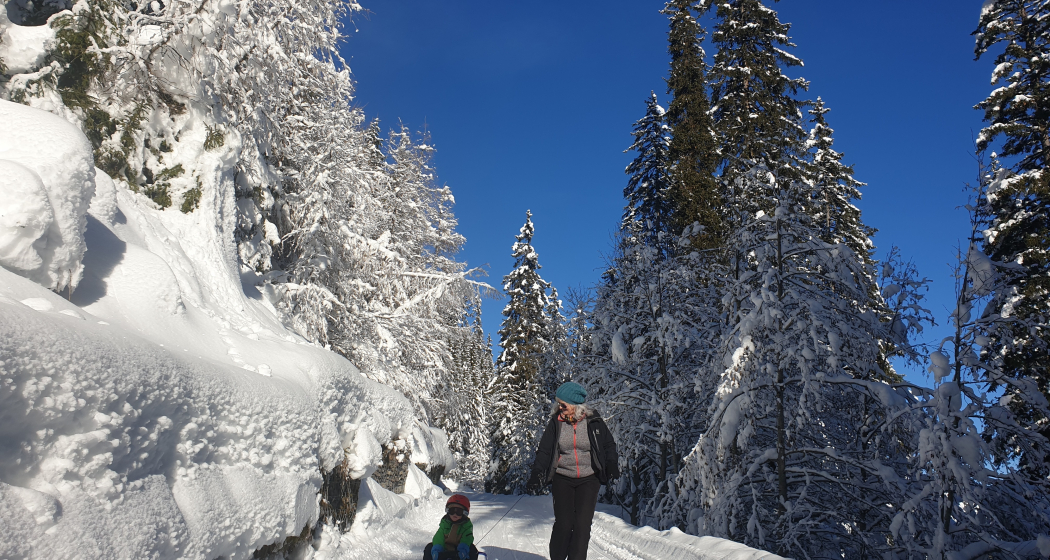 Schlittelweg Tenna (oua_64680545_image) Schlittelweg Tenna (oua_64680545_image)