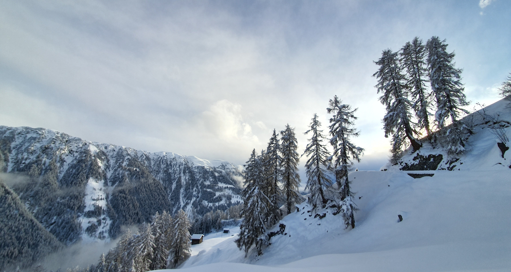 Winterwandern Waldweg Tenna (oua_64680546_image) Winterwandern Waldweg Tenna (oua_64680546_image)