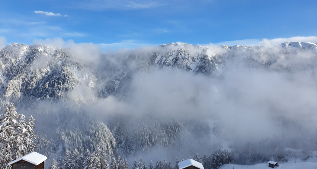 Winterwandern Waldweg Tenna (oua_64680559_image) Winterwandern Waldweg Tenna (oua_64680559_image)