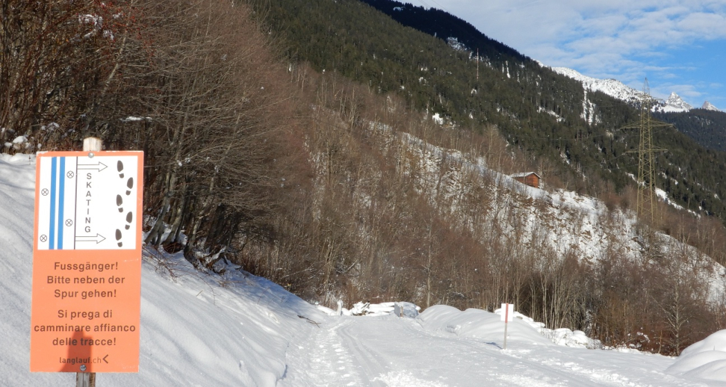 Immer schön neben der Loipe gehen Immer schön neben der Loipe gehen
