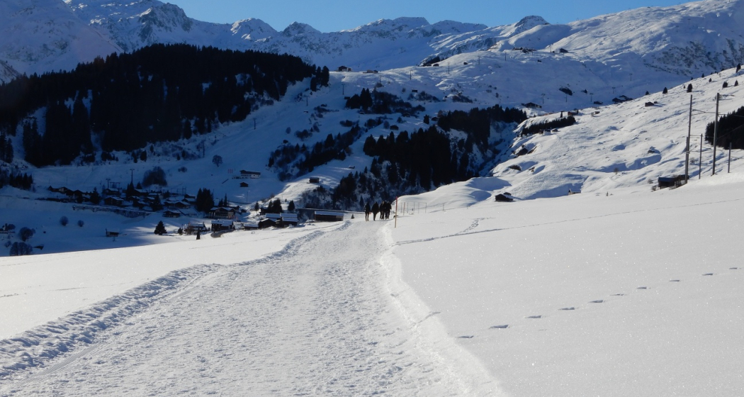 Blick aufs Skigebiet Dieni-Milez Blick aufs Skigebiet Dieni-Milez