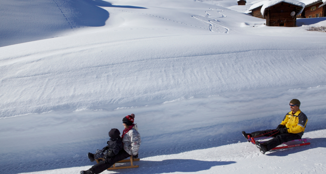 Schlittelweg Camana (oua_65161037_image) Schlittelweg Camana (oua_65161037_image)