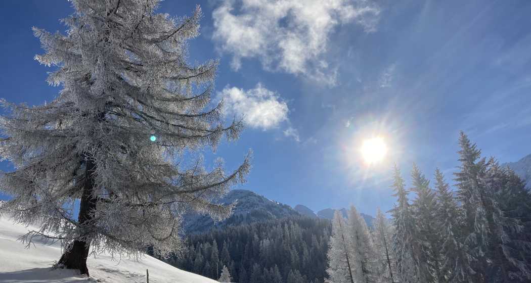 Von Brün zu den Maiensäss-Hütten Imschlacht (oua_65161531_image) Von Brün zu den Maiensäss-Hütten Imschlacht (oua_65161531_image)