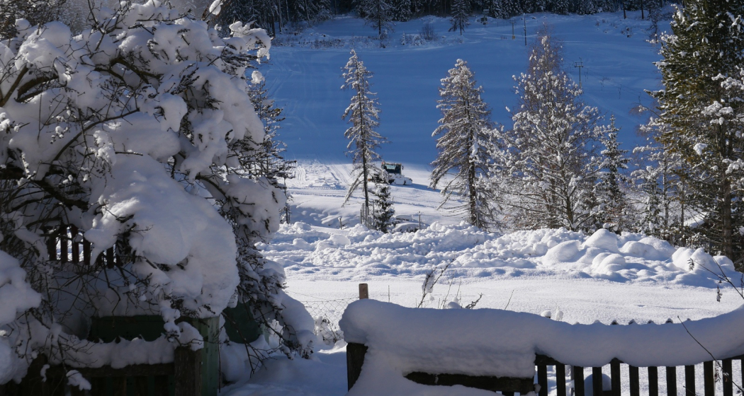 Der Garten der Chesa Orta im Winter