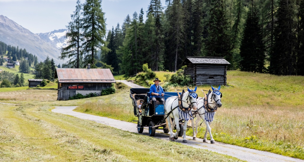 Kutschenfahrt Bünda Davos Dorf - Teufi (Dischmatal) (oua_65360934_image) Kutschenfahrt Bünda Davos Dorf - Teufi (Dischmatal) (oua_65360934_image)