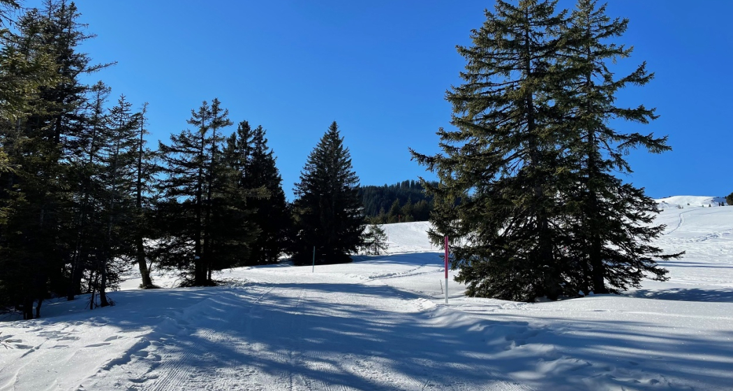 Winterwanderweg Tannenheim-Prodalp Winterwanderweg Tannenheim-Prodalp
