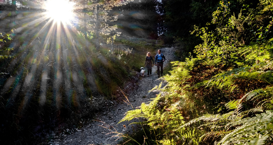 Dörferweg_Tschiertschen-Molinis Dörferweg_Tschiertschen-Molinis