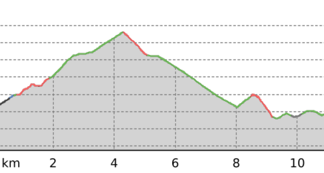 Zuoz - Alp Griatschouls (oua_66046313_14417fb_profile)