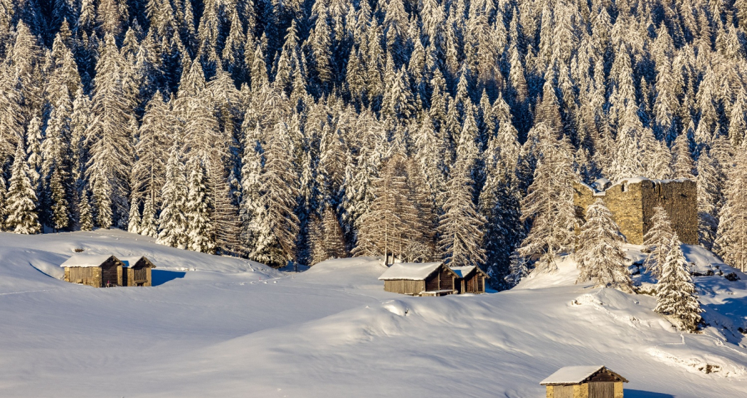 Die Burgruine Splügen im Winter Die Burgruine Splügen im Winter